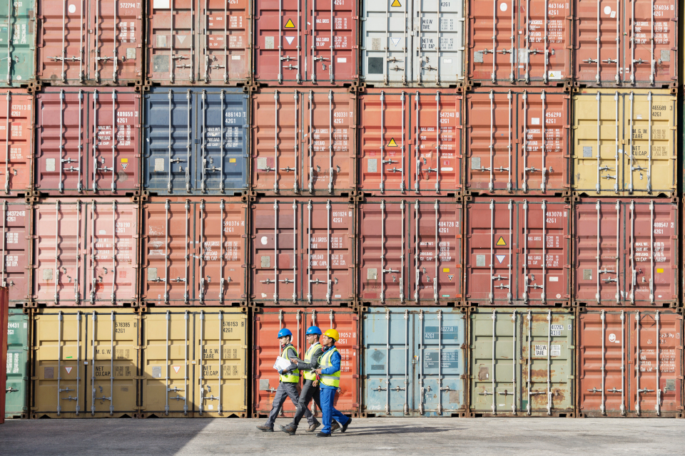 Workers walking together near stack of cargo containers